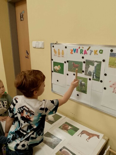 hospodářská zvířata