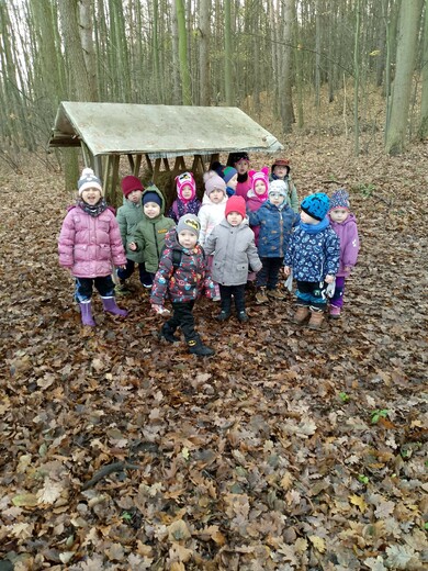 Procházka ke krmelci 18.11.25