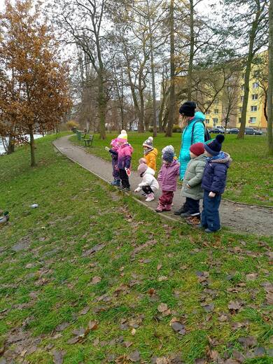 Týdenní téma - podzim odchází, zima přichází