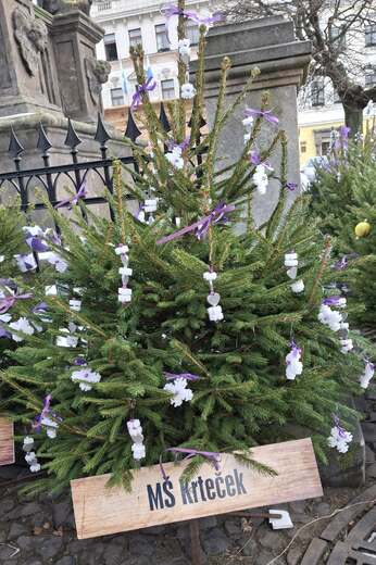 Zdobení vánočního stromečku 28.11.25
