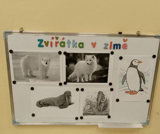 Zvířátka v zimě 19.1.26 - 23.1.26
