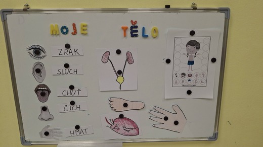 Moje tělo 26.1.26 - 30.1.26